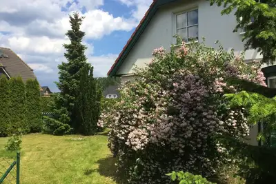 Image de Appartement de vacances Trassenheide pour 1 - 4 personnes avec 2 chambres Ă coucher - Maison de vaca