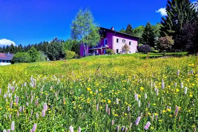 Image de Appartement de vacances Neureichenau pour 2 personnes avec 1 chambre à coucher - Maison de vacances