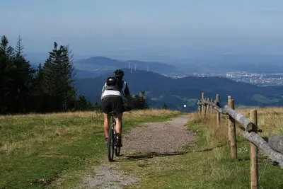 Image de App. Medium - pure relaxation in nature