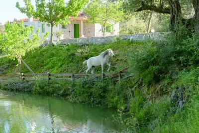 Image de Villa Elia with mountain and lake view