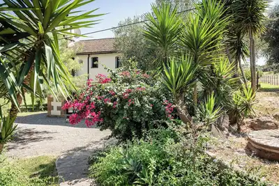 Image de Mill house on Organic Cork and Cattle Farm with Summer Camp for Children