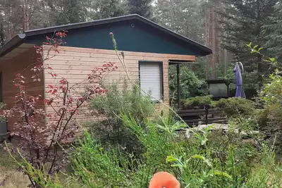 Image de Ferienhaus Waldoase für 2 - 3 Personen, Freistehend auf Eingezäuntem Grundstück
