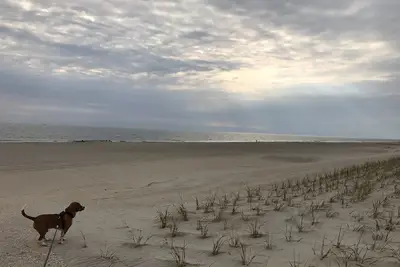 Image de Dog & Family friendly home - Oceanside Brant Beach; 3 bdrm/2 full baths/sleeps 8