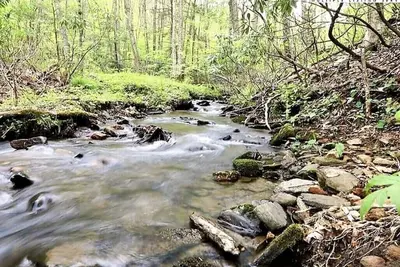 Image de Creekside Cabin - Private 20 Acres, Pond & Hot Tub