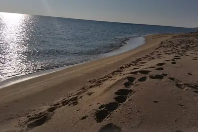 Image de maison de vacances à 2 pas de la plage et du centre de San Pietro in Bevagna