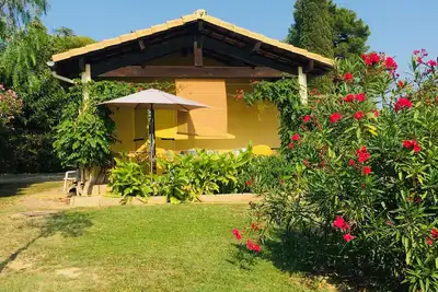 Image de Sud de France - Occitanie - Hérault - Pailhès