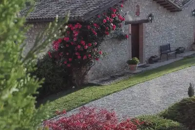 Image de From old hay shed to beautiful stone outbuilding