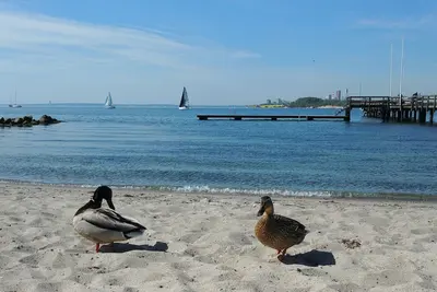 Image de New, cozy, modern holiday apartment in Neustadt Holst. Beach 350 m on foot