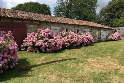 Image de Maison de Campagne - 4ch - Poitiers\/Dienné