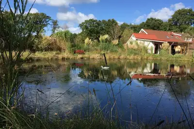 Image de Une petite oasis au milieu de la nature