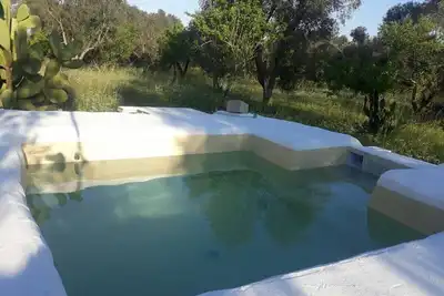 Image de Trullo with pool in San Michele Salentino