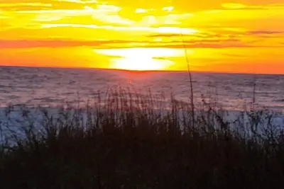 Image de Shuckers & Beaches! In Beautiful Mexico Beach, Fl