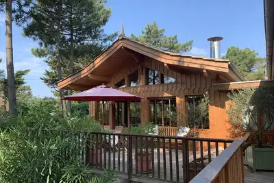 Image de Jolie villa en bois au cœur du Cap Ferret dans un écrin de verdure