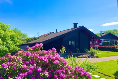 Cozy, detached wooden house in a quiet location on the Peterberg.