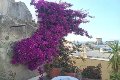 Image de Beautiful Duplex Apartment, in walking distance of everything
