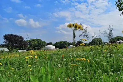 Image de Carved Yurt - A luxury Mongolian-inspired Yurt in stunning 62 acre eco-friendly estate