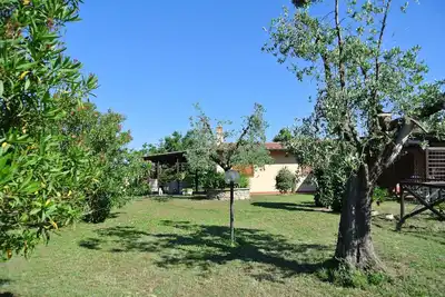 Image de Nestled in the plains of Castagneto Carducci