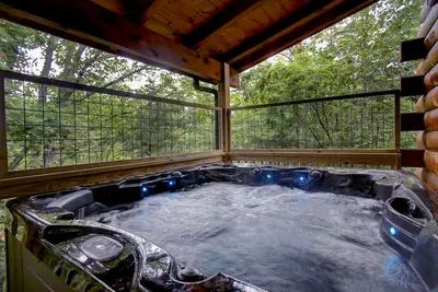 Image de Handicapped-friendly cabin with upstairs theater room in the Smokies!