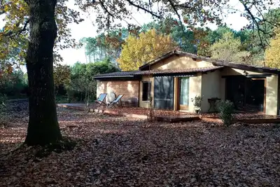Image de Large House Full of Nature 5 Bedrooms for 10 to 15 people - \"Surf Camp\"