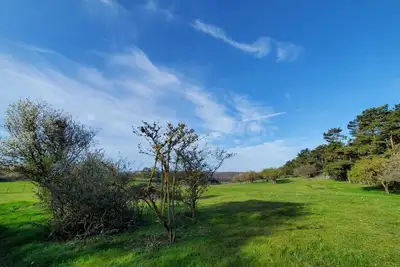 Image de Vacation apartment \"Ziegenvilla\"! Vacation on a farm in the Eifel