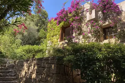 Image de Domus Olivarum-Costa Smeralda New! 7 guest, 3 room, 2 bathroom, 2 Pk, Wifi A\/C