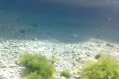 Image de Accommodation 50 mt. from the sea, 5 minutes from Gallipoli and the Salentine Maldives