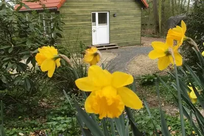 Image de Semi-detached house FeWo 1 - holiday homes Ohlenbusch