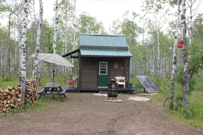 Image de Micro-cabin nestled in secluded forest\n