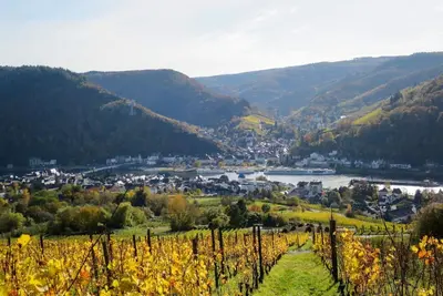Image de Joli appartement avec bain à remous, Wifi, Tv, patio, animaux admis et parking