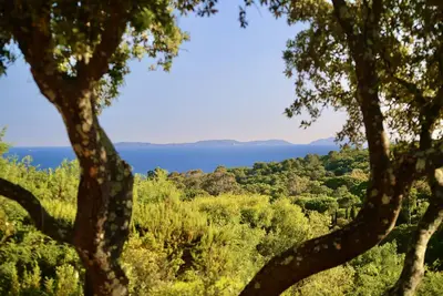 Image de Maison vue mer avec piscine à débordement, à 12 minutes de la plage à pied.