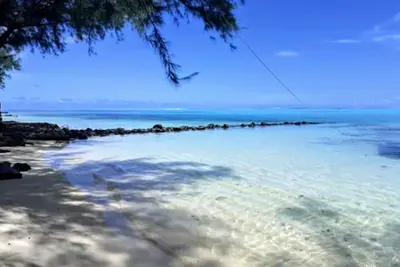 Image de Moorea - Local Spirit 6