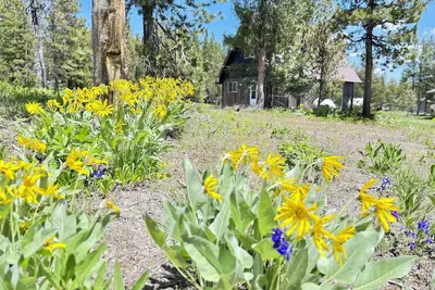Image de Holden HideAway Only 22 Miles to Yellowstone National Park! Outdoor Kitchen, Fire Pit, & WiFi