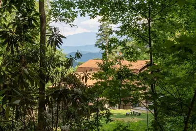 Image de Lazy Bear Cabin w/ Breathtaking Views!