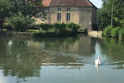 Image de Gîte en Bourgogne, . Dans ancien moulin, jardin privatif et vue sur le bief.