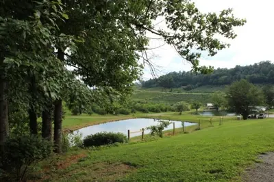 Image de The Orchard Suite: Serenity in nature