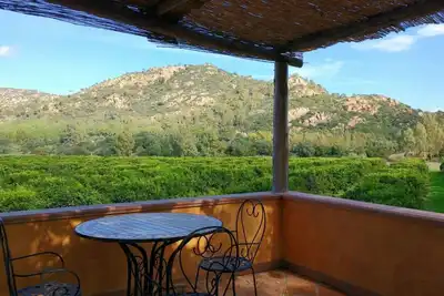 Image de Charming apartment in the heart of a citrus farm.