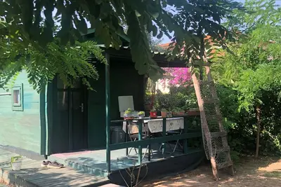 Image de The Lagottino near the sea