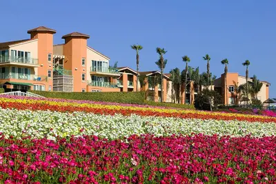 Image de Grand Pacific Palisades 2 Bedroom Unit Sleeps 6