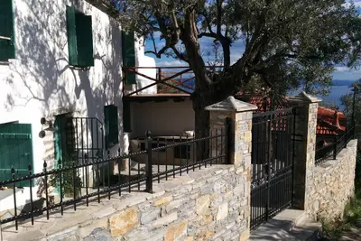Image de Green house - Wonderful view