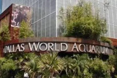 Image de Heated Pool and Hottub Car rental available too