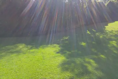 Image de Excelent property, 2, 000 m2 Of garden, the house has 900 m2 beautiful view