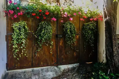 Image de Care Pere: A Beauty Upon a Joyful Hill