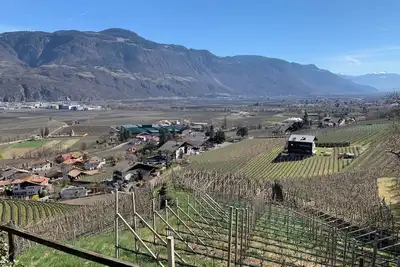 Image de Weingut Bachgütl - Vacation on a beautiful piece of earth