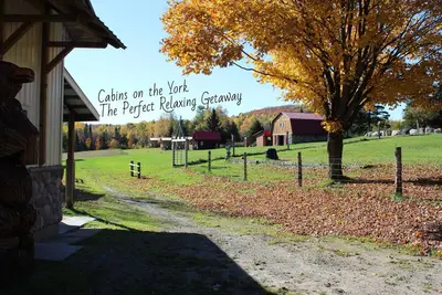 Image de Cabins on the York - Loon Cabin #1