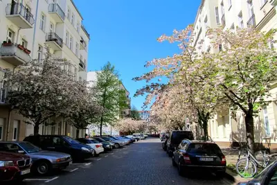 Image de Beautiful apartment in Prenzlauer Berg RAVn