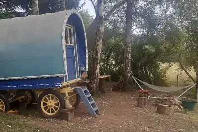 Image de Bow Top Wagon on forest edge