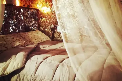 Image de Neverland was the refuge of Trilly