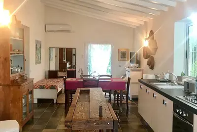 The house in the country