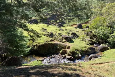 Image de Site In Serra Da Mantiqueira with Wi-Fi
