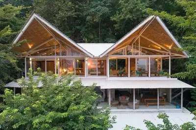 Image de Tropical treetop ocean view